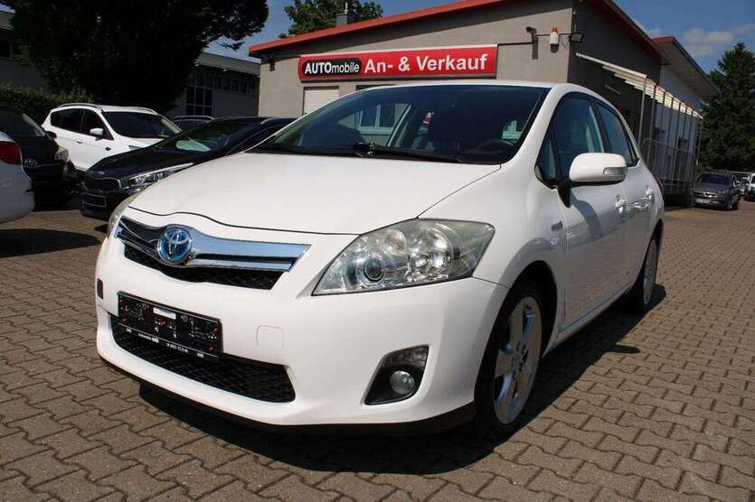 Auris