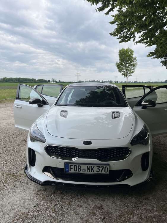 Stinger