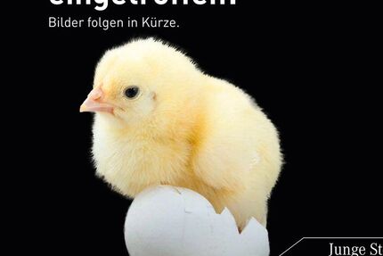 Mercedes-Benz AMG GT 55.200 km 81.470 &euro; Königsbrunn 86343